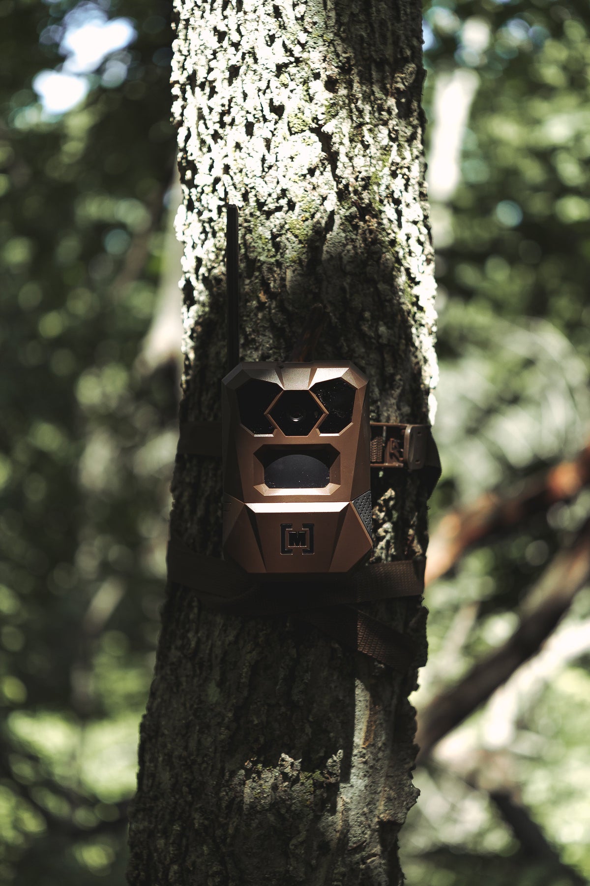 Trail Cameras