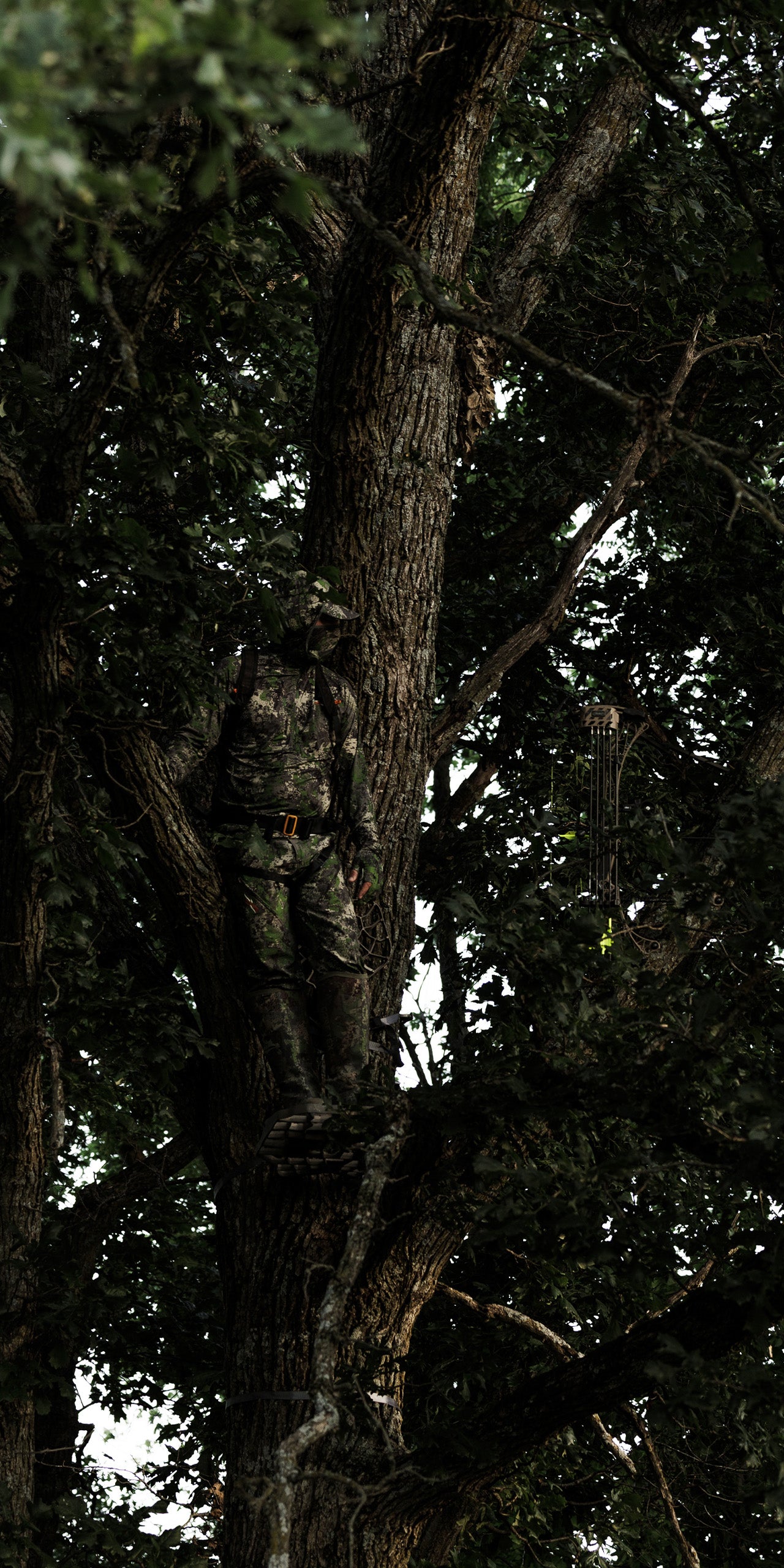 Hunting Gear & Whitetail Essentials | BeeReal Custom