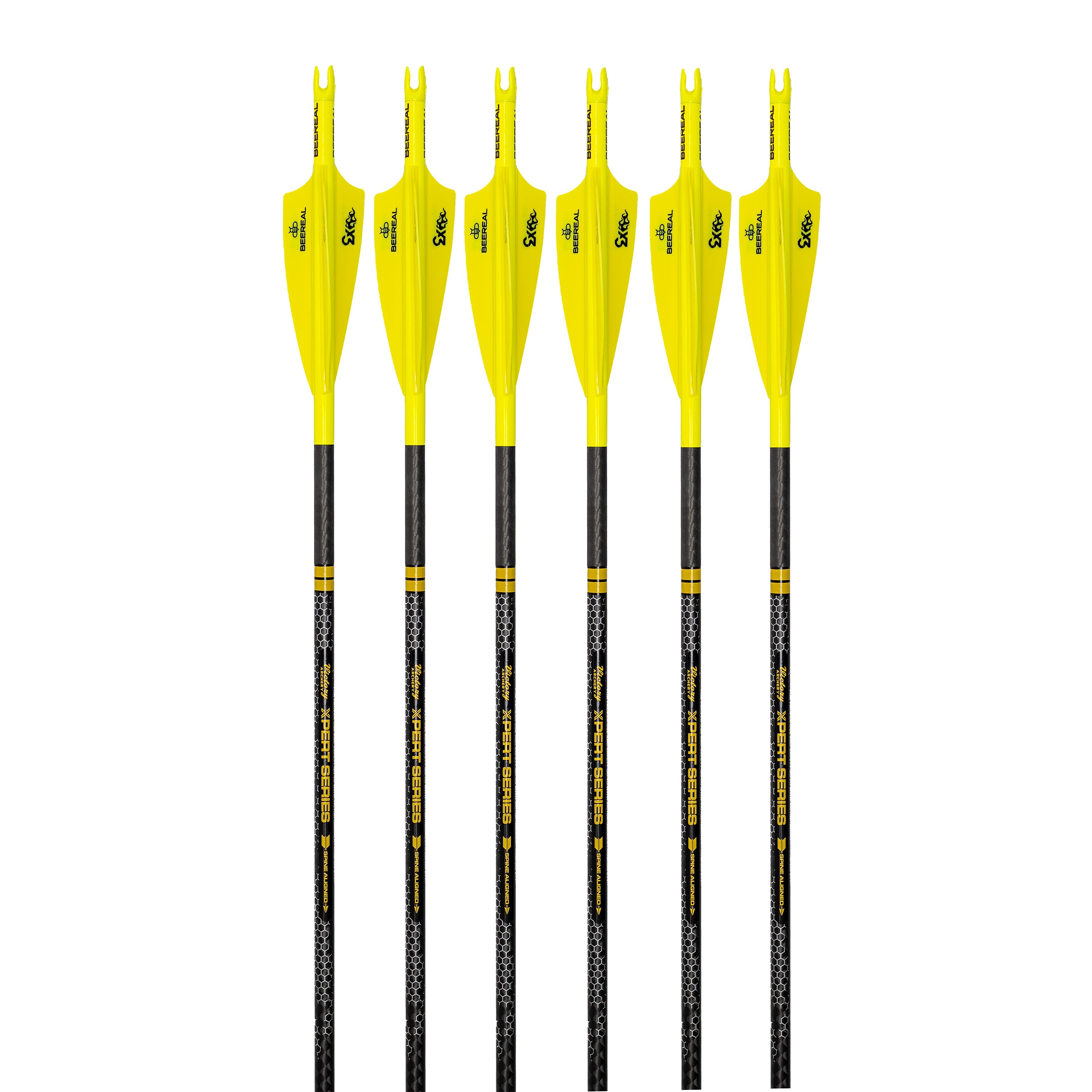 Victory RIP TKO BEEREAL Arrows – BeeReal Custom