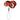 TETHRD Ropeman 4 Ascender